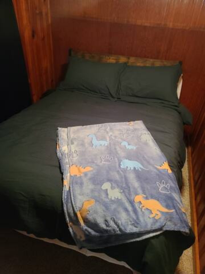 Second bedroom with a full bed and dinosaur blanket